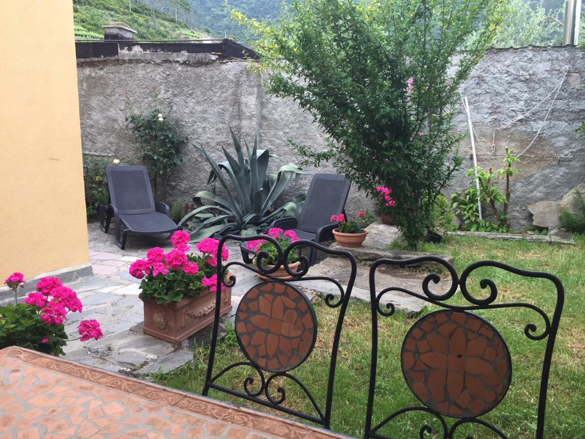 Apartamento Il Cortile Del Contadino Volastra Exterior foto